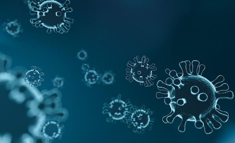 1665724961427710.jpg 冠狀病毒.jpg