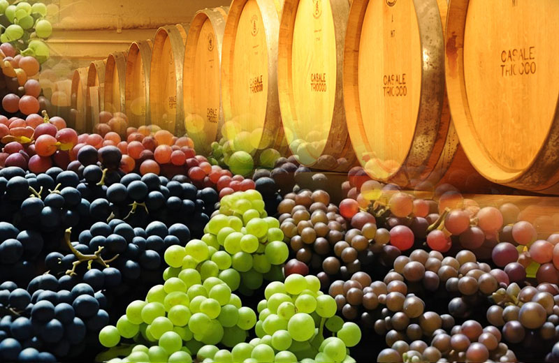 1702361002644246.jpg 葡萄酒釀造.jpg