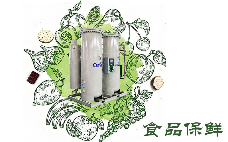 1715310957354552.jpg 食品保鮮用PSA制氮機(jī)該怎么選.jpg
