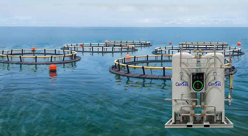 1740385176855731.jpg 如何供氧可促進(jìn)水產(chǎn)養(yǎng)殖提質(zhì)增效.jpg